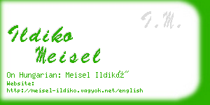 ildiko meisel business card